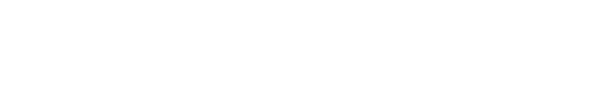 Punto Novo Logo